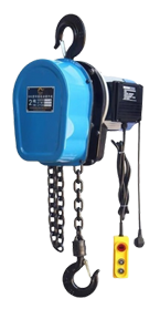 Katrol Listrik Electric Chain Hoist Provioz DHS
